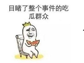 吃野瓜的群众语录大全搞笑,吃野瓜群众语录大盘点
