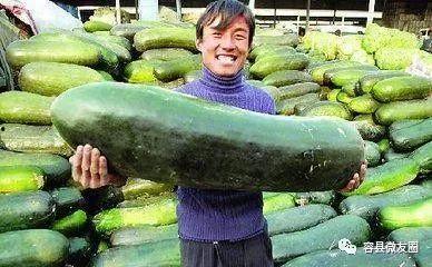 养鱼群众吃瓜视频,揭秘鱼塘里的欢乐时光