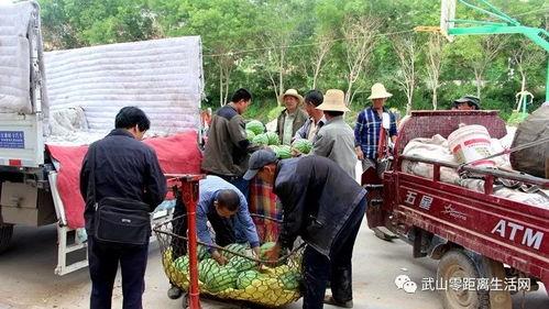 违章建筑群众吃瓜,群众围观，吃瓜群众热议