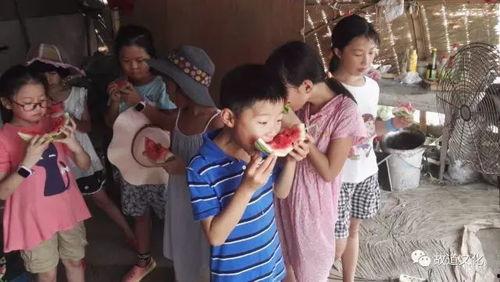 三姐妹校园暴力吃瓜群众,吃瓜群众热议校园霸凌真相