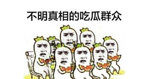 吃瓜群众王小吉小说,揭秘娱乐圈背后的秘密