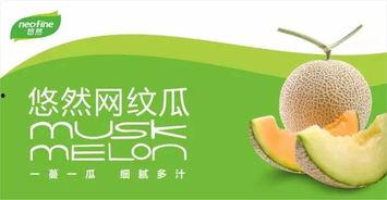 吃瓜群众协会会员,揭秘网络热议背后的故事