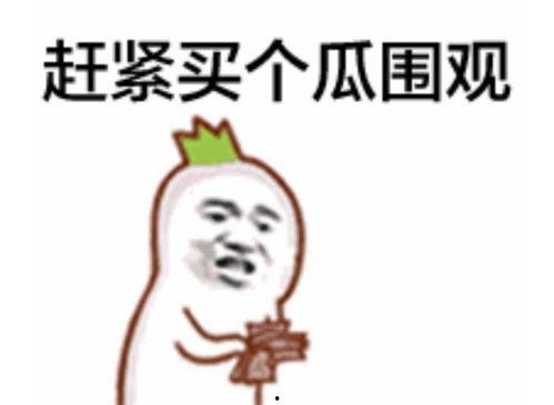 吃瓜群众请默默打卡,揭秘娱乐圈幕后故事