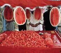 吃瓜群众照片微信,揭秘生活百态