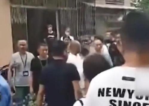 击毙5楼吃瓜群众,击毙五楼吃瓜群众，真相背后引人深思