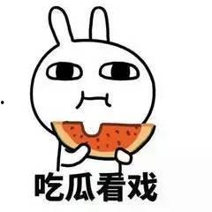 吃瓜群众算我一个原版,见证时代风云的民间视角