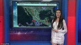 女主播吃瓜群众,一场网络狂欢的幕后故事