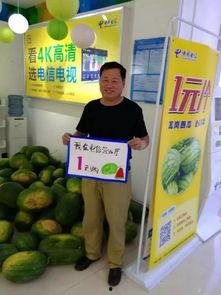 驻马店吃瓜群众是谁,网络红人的崛起与影响力