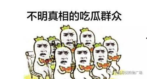 吃瓜群众岱岱微博,吃瓜群众视角下的娱乐圈风云